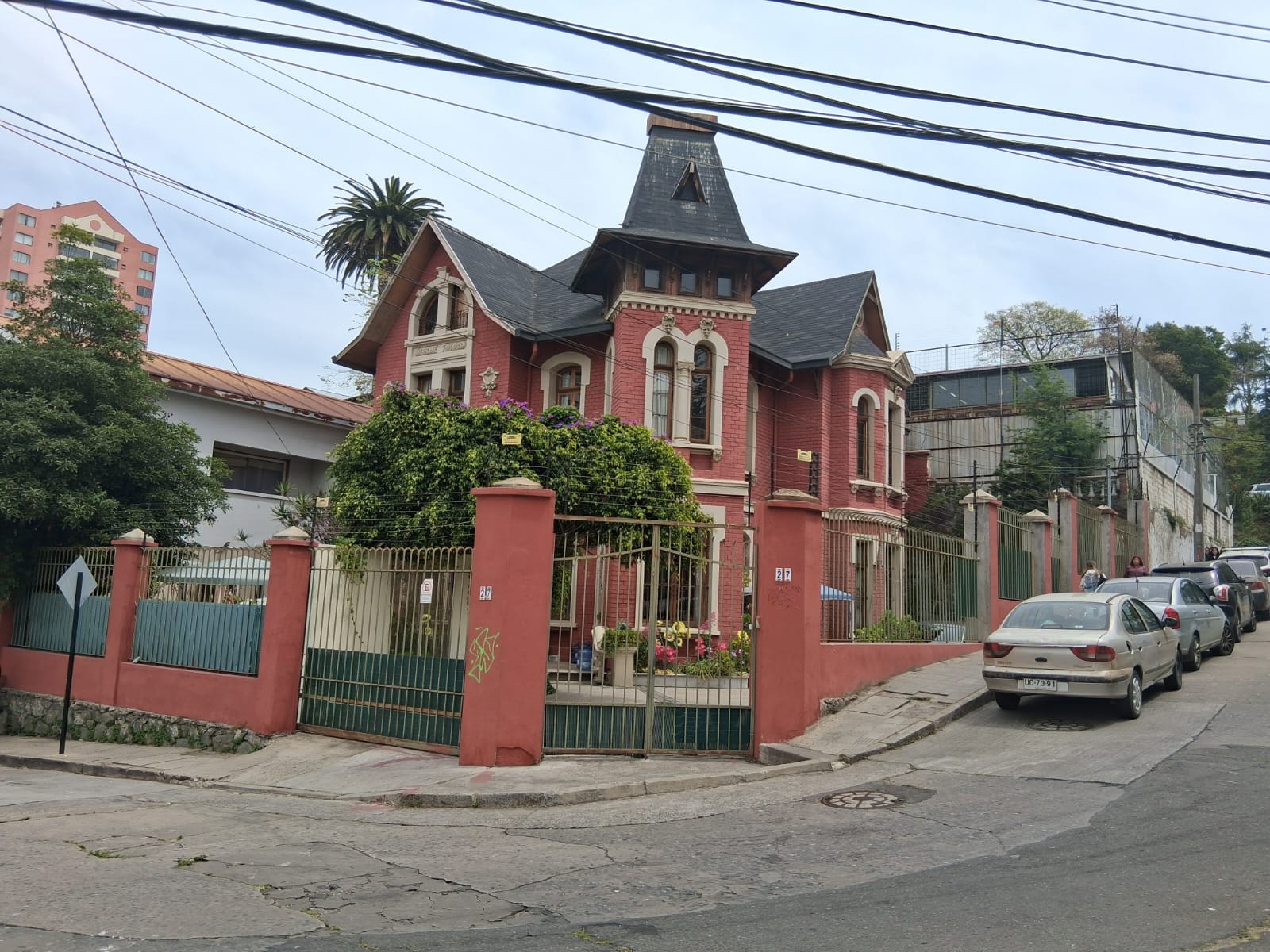 Jardín – camelia rosada